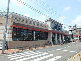 クイーンズリッチ東宿郷  ｜ 栃木県宇都宮市東宿郷４丁目（賃貸マンション1LDK・8階・51.42㎡） その29