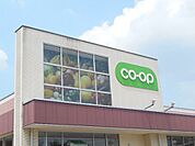 スーパー「コープ昭和店まで980m」