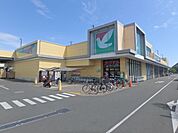 スーパー「ヨークマートまで1200m」