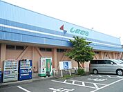 スーパー「しまむらストアーまで728m」