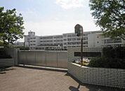 小学校「小田原市立富士見小学校まで743m」