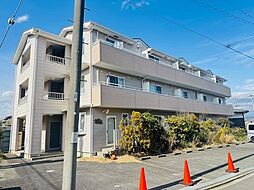 ピュアコート・すみれ