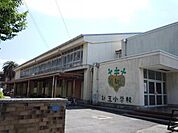小学校「小田原市立新玉小学校まで471m」