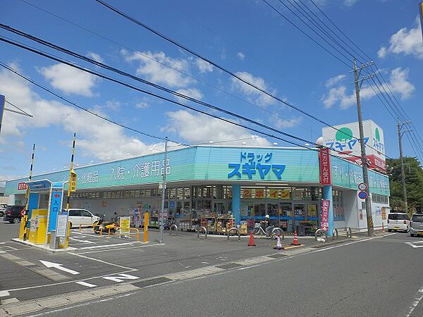 【ドラッグストア】ドラッグスギヤマ久保田店まで685ｍ