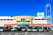 molive（モリーブ）（1275m）