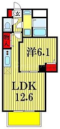 ハイムミモザ 1LDKの間取図画像