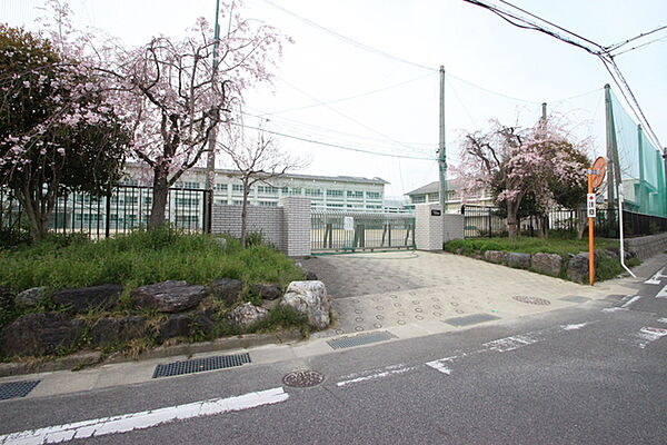 画像28:名古屋市立守山中学校