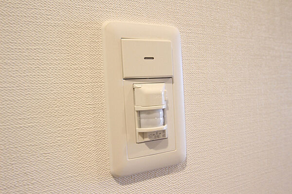 画像28:玄関の電気は、自動でつきます