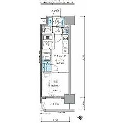 TENAS丸の内 1DKの間取図画像