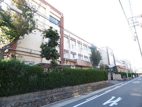 画像20:小学校「名古屋市立児玉小学校まで663m」