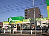 周辺：ドラッグストア 「ジップドラッグまで290m」