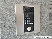 写真はイメージです