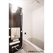 写真はイメージです