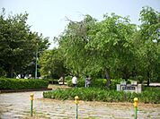 公園「横井山緑地まで440m」