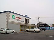 その他「スギ薬局まで2200m」