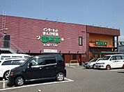 その他「亜熱帯まで1m」