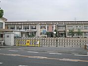 小学校「市立大里西小学校まで1900m」