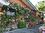飲食店「コメダ珈琲店まで320m」