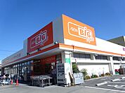 その他「イオン　ザ・ビッグエクスプレスまで1100m」