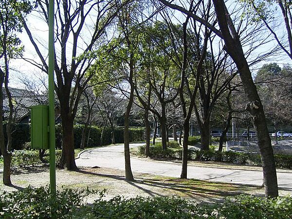 画像24:公園「隼人池公園まで240m」