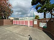 小学校「名古屋市立柴田小学校まで380m」
