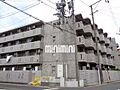 ベルドミール