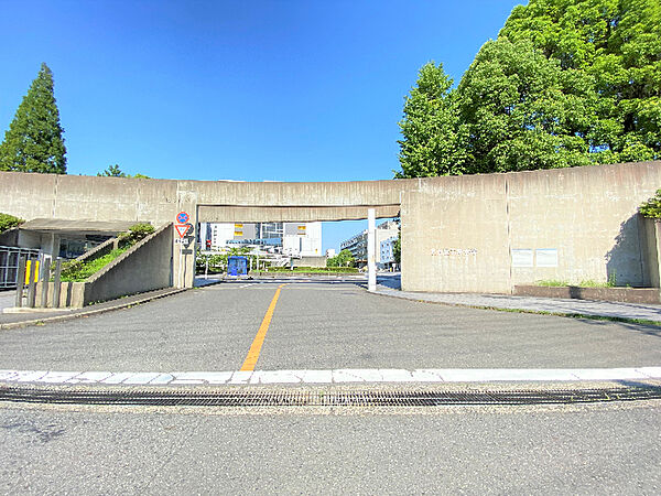 画像26:大学「国立名古屋工業大学まで1247m」