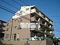 ルミナスパルビラ