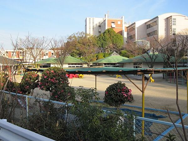 画像24:幼稚園、保育園「名古屋短期大学付属幼稚園まで240m」