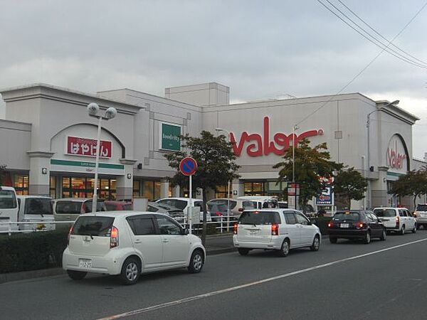 画像23:ショッピング施設「バローまで460m」