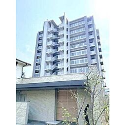 バンベール左京山