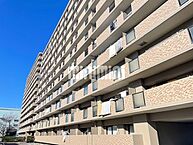 愛知県一宮市八幡4丁目：物件画像／株式会社ミニミニ　一宮店