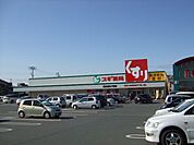 ドラッグストア 「スギ薬局まで1100m」