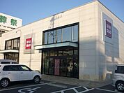 販売店「ユニクロまで1m」