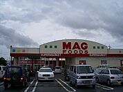 スーパー「スーパーマグフーズまで1100m」