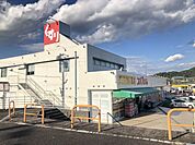 ドラッグストア 「スギドラッグまで250m」