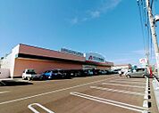 ドラッグストア 「クスリのアオキ武豊店まで964m」