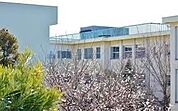 小学校「町立森岡小学校まで2000m」