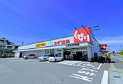 ドラッグストア 「スギ薬局上池店まで986m」