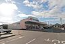 周辺：ドラッグストア 「クスリのアオキ成岩店まで191m」