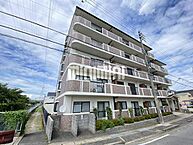 愛知県津島市立込町1丁目：物件画像／株式会社ミニミニ　津島店