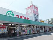 ドラッグストア 「スギ薬局 東柳原店まで510m」