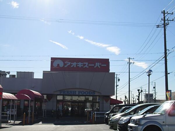 画像23:スーパー「アオキスーパーまで1100m」
