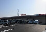 スーパー「メグリアはなぞの店まで923m」