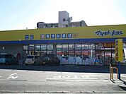 ドラッグストア 「マツモトキヨシまで30m」