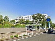 大学「私立至学館大学まで982m」