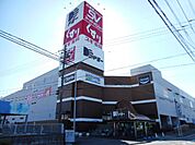 その他「ドミーまで1800m」
