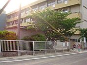 小学校「蟹江町立新蟹江小学校まで573m」