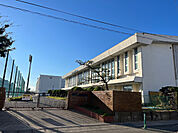 中学校「北名古屋市立白木中学校まで1820m」