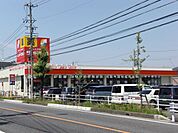 ドラッグストア 「サンドラッグまで730m」